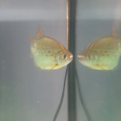 20201230_115945.jpg 20201230_115945.jpg