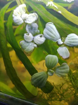 2020-12-30 19.20.03.webp 2020-12-30 19.20.03.webp