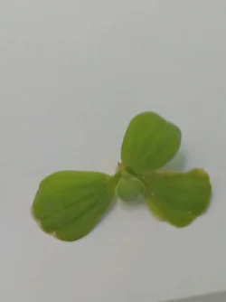 2020-12-30 19.21.40.webp 2020-12-30 19.21.40.webp