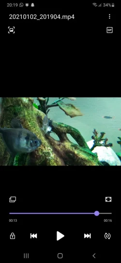 Screenshot_20210102-201949_Video Player.webp