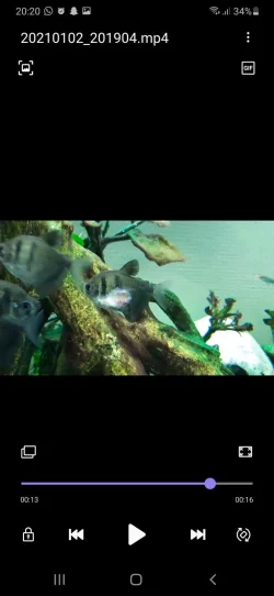 Screenshot_20210102-202002_Video Player.webp