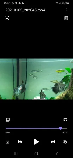 Screenshot_20210102-202117_Video Player.webp