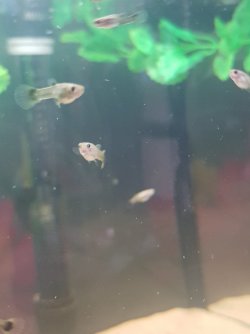 20201228_111351.jpg