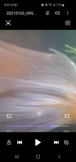 Screenshot_20210104-212318_Video Player.webp