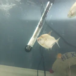 VideoCapture_20210105-122427.webp
