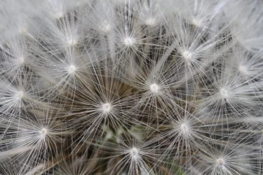 157.webp