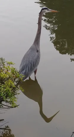 20191130_153725~2.webp