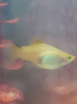 16103295565497060638278474862557.jpg