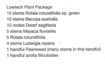 Plants I tried but died off.jpg