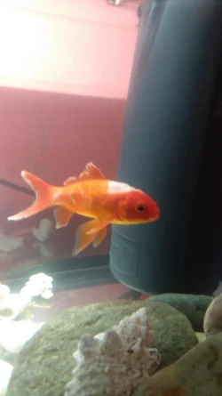 IMG-20210117-WA0011.webp