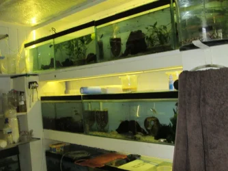IMG_6332.webp IMG_6332.webp