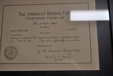 Brough's American Championship Title.jpg