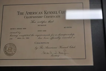 Brough's American Championship Title.webp