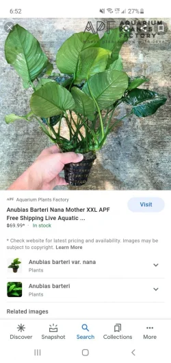 Screenshot_20210121-065257_Google.webp