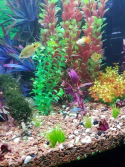 20210123_205034.webp