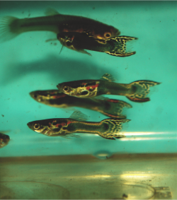 IMG_8519a.png IMG_8519a.png