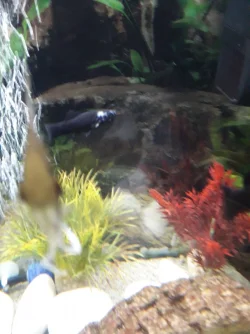20210128_101623.webp
