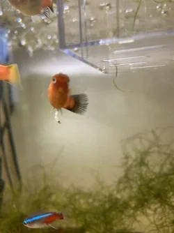 FDC15488-B743-4D57-A65B-4BB734854395.webp