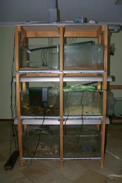 31july2010 007.webp