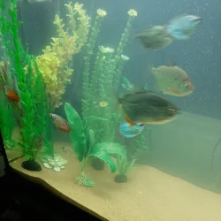 20210130_232149.webp