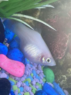 5A889098-83AB-4B1C-8E84-A03AB311C213.webp