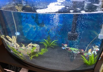 Fish Tank 02.webp