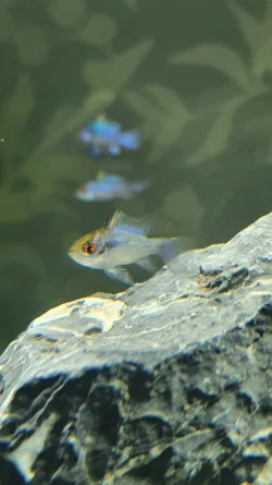 20210128_122333.webp