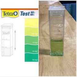 51F4CE5C-1E68-406F-91EC-DD244DACBD07.webp