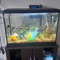 20gallons_aquarium.webp