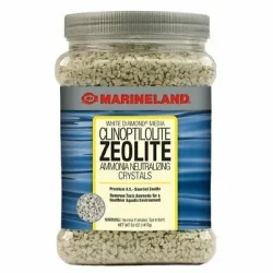 Zeolite(1).webp
