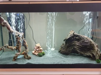 tank pic 2 - feb 2021.webp