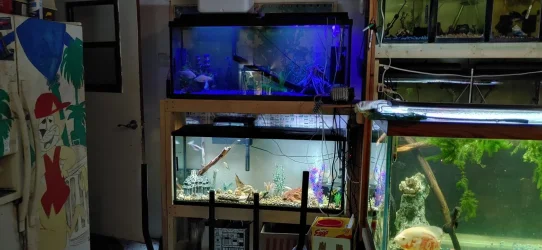 20210213_190718_HDR.webp