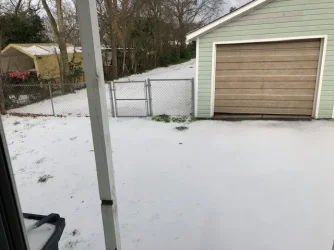Winter 1.webp