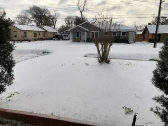 Winter 2.webp