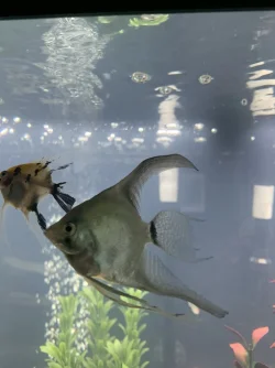 A31F18B7-D5A9-45DC-A1CA-929225131406.webp