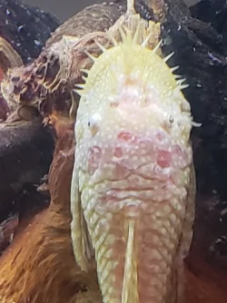 20210218_221429.webp