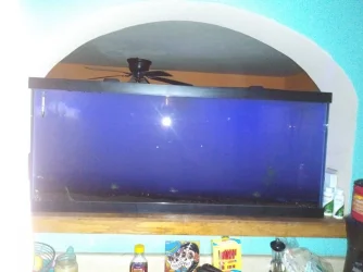 20210220_202800.webp