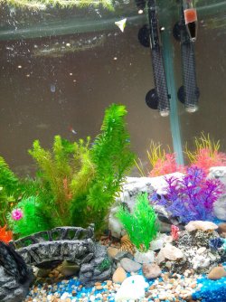 20210226_175917.jpg