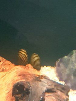 20210302_123945.jpg
