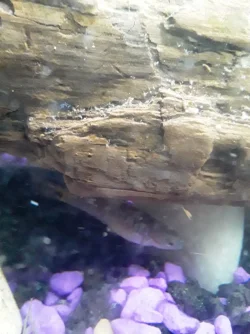 20210307_051120.webp