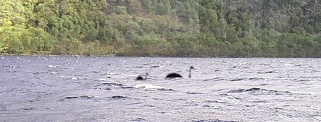nessie.jpg
