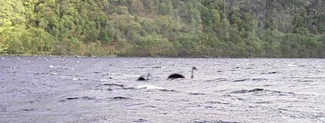 nessie.webp