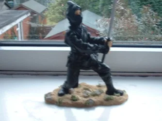 my_ninja.webp