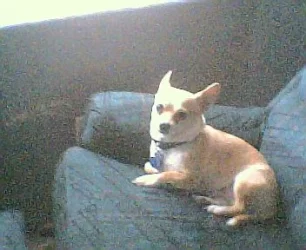tyty001.webp