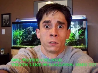 waterchange.webp