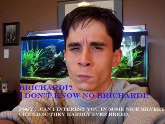 brichardiwho.webp