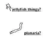 planaria.webp
