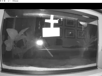 Screen Shot 2021-03-13 at 6.27.41 PM.webp