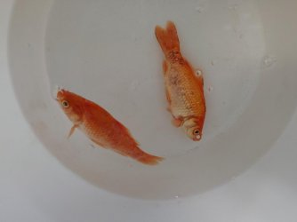 0314210854a.jpg