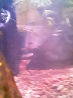 20210305_032850.webp